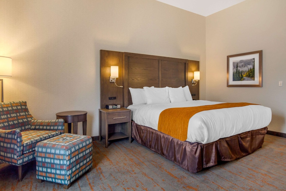 Comfort Inn and Suites Brighton Denver NE Medical Center 9/34