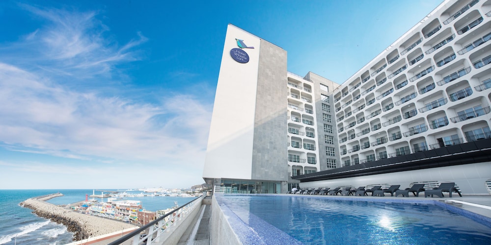 Hotel WhistleLark Jeju in JEJU