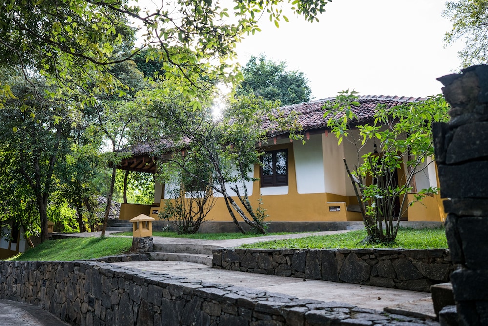Amaya Lake 33/50
