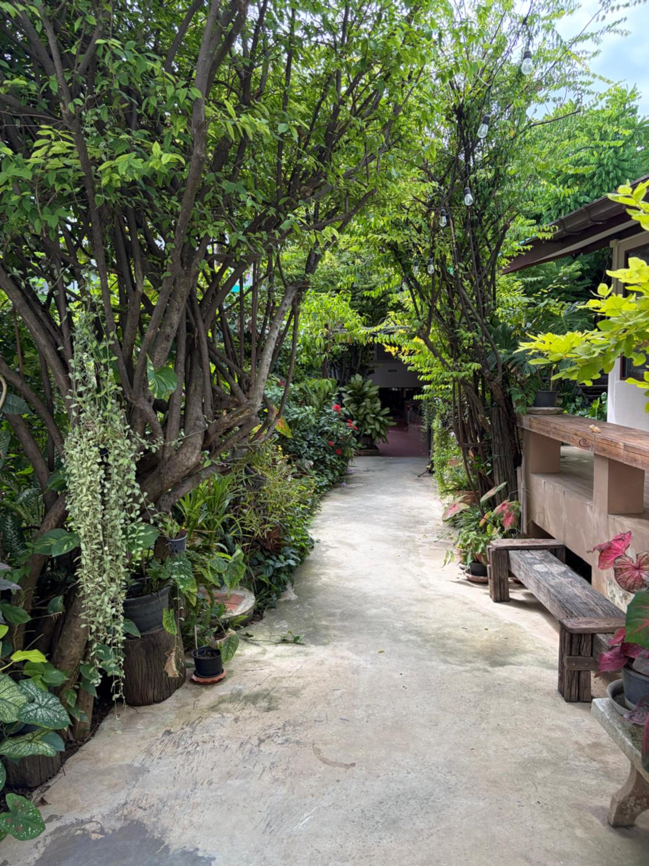 Loy Manee House 30/35