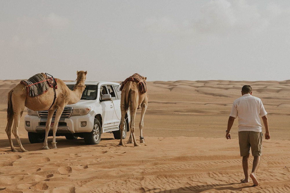 Luxury Desert Camp 30/50