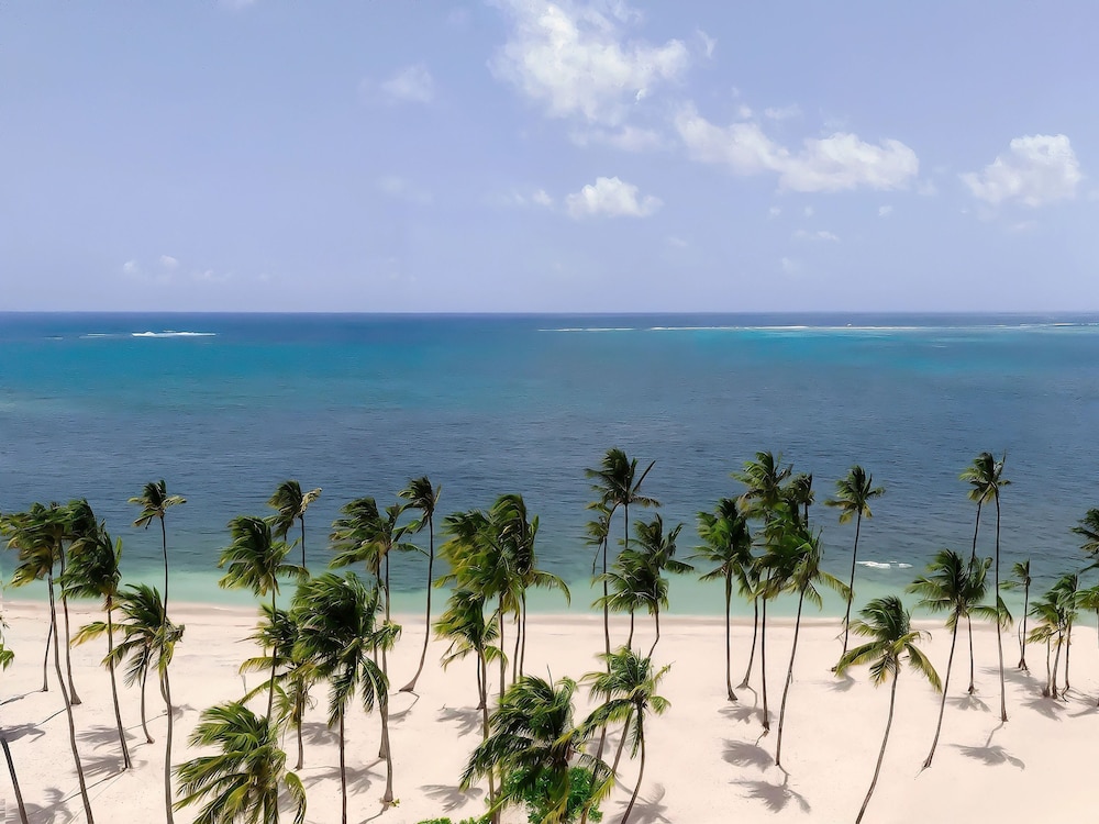 Jewel Palm Beach Resort Spa 42/48