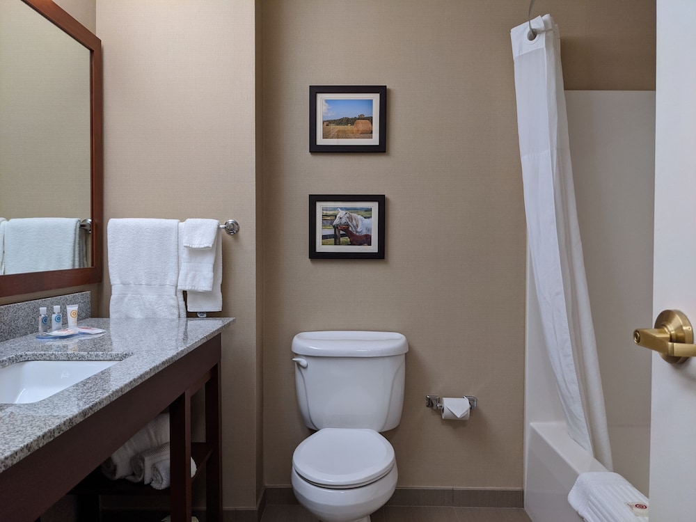 Comfort Inn & Suites Northern Kentucky 23/48