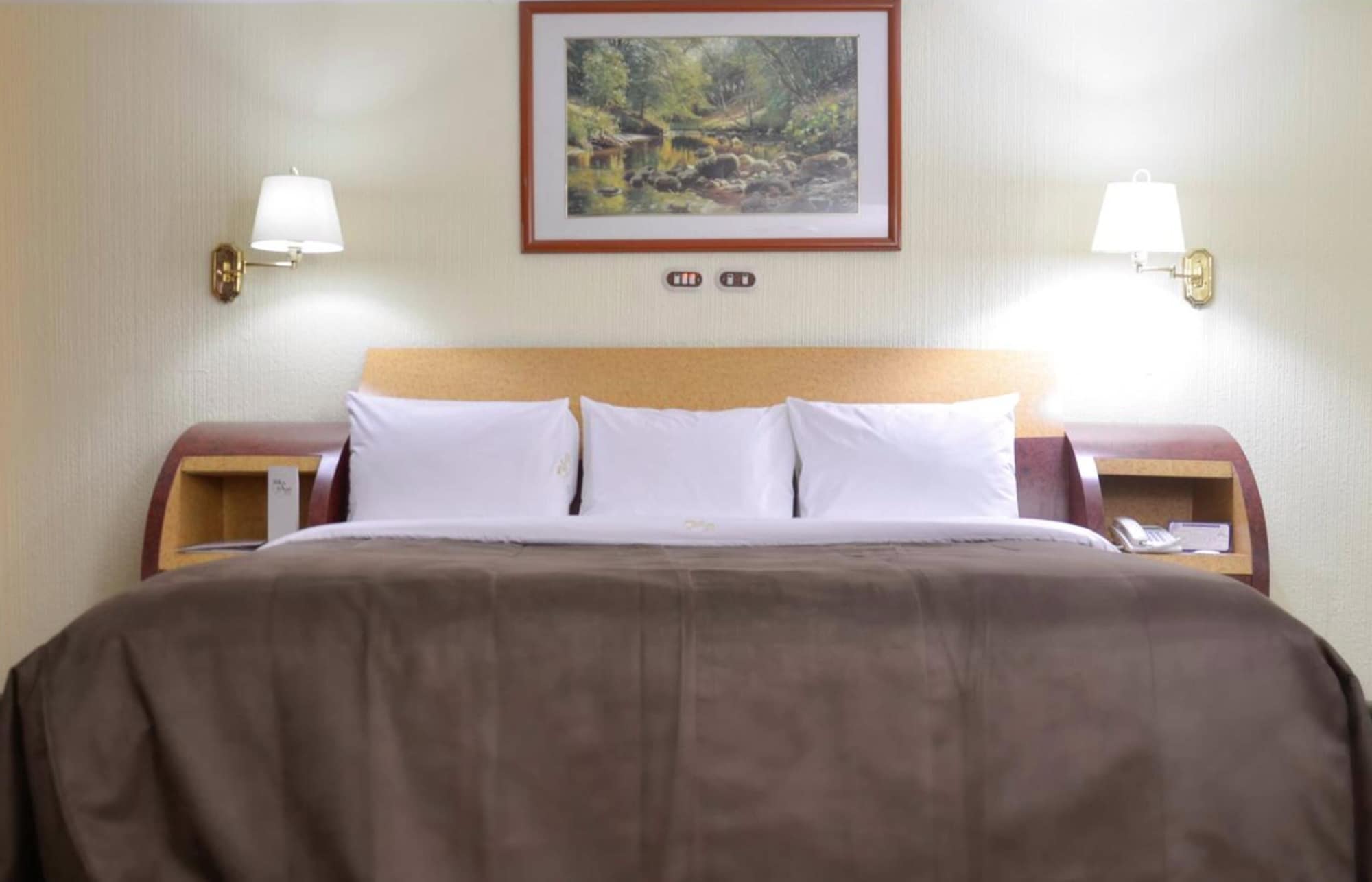 Senior, Suite, King Bed