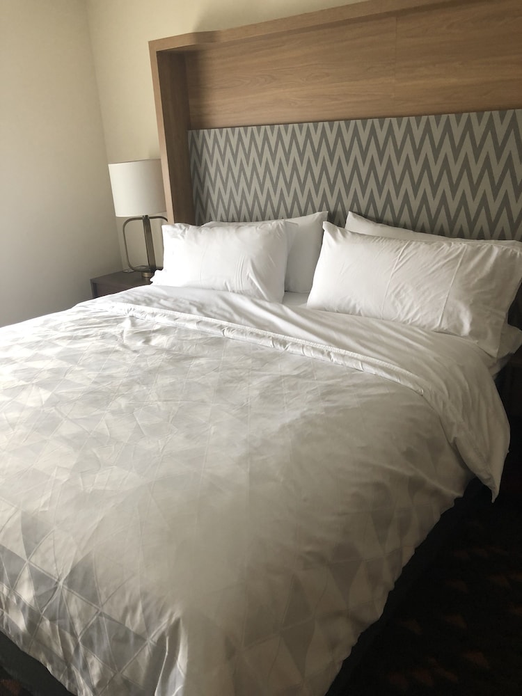 Holiday Inn & Suites Mount Pleasant 14/64