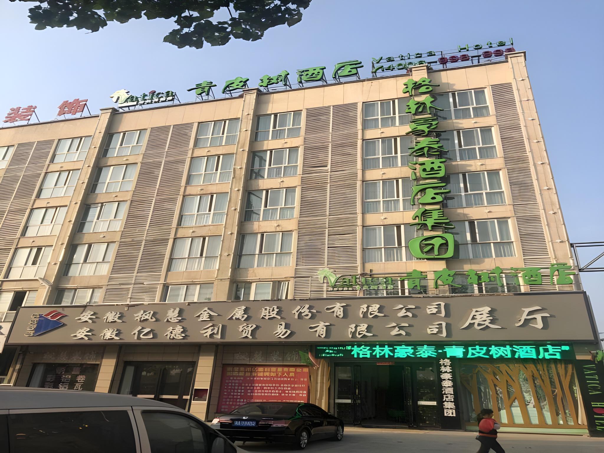 Vatica Jieshou City New Passenger Transport Center Hotel in FUYANG