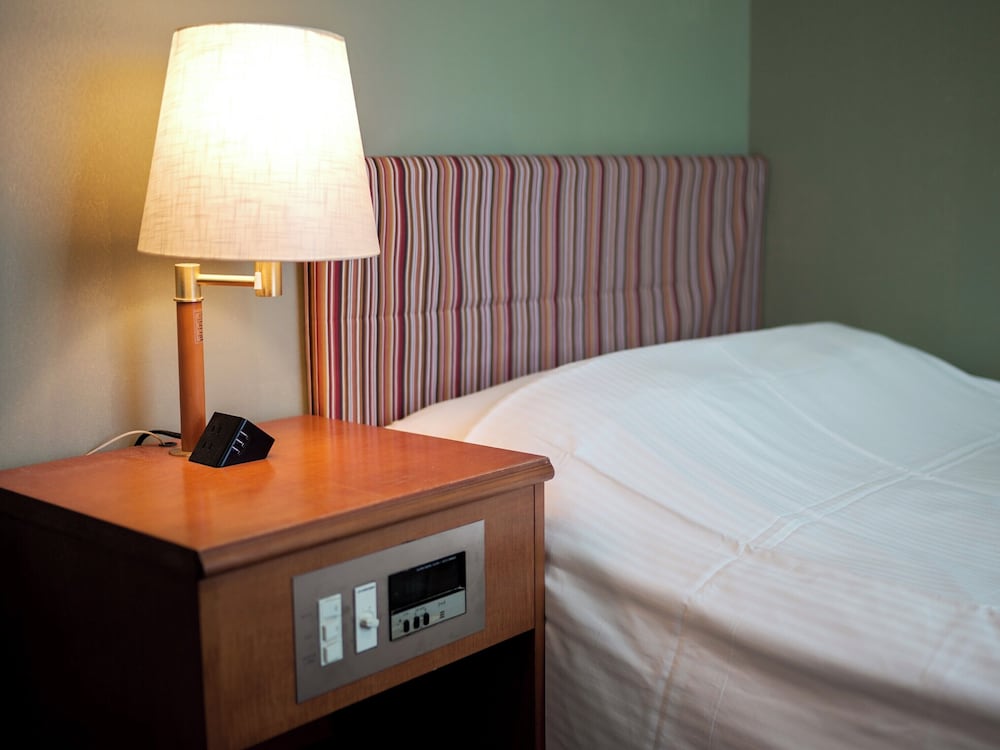 Kobe City Gardens Hotel (神戸シティガーデンズホテル)(Kobe City Gardens Hotel) 图片3