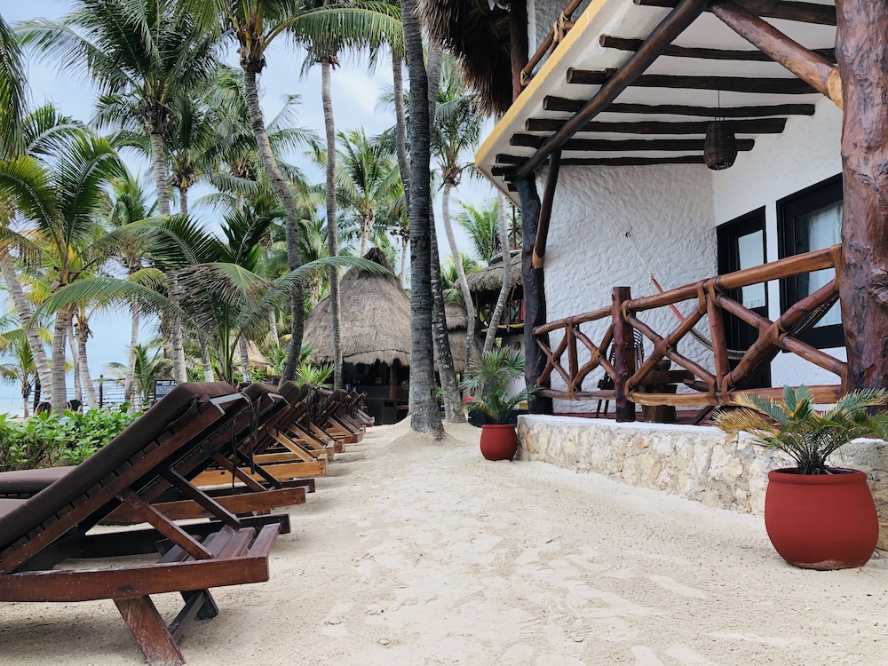 Beachfront Hotel La Palapa - Adults Only 33/36