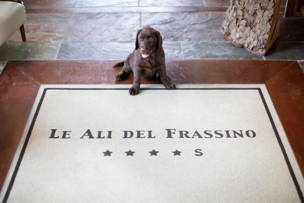 Le Ali Del Frassino 7/50