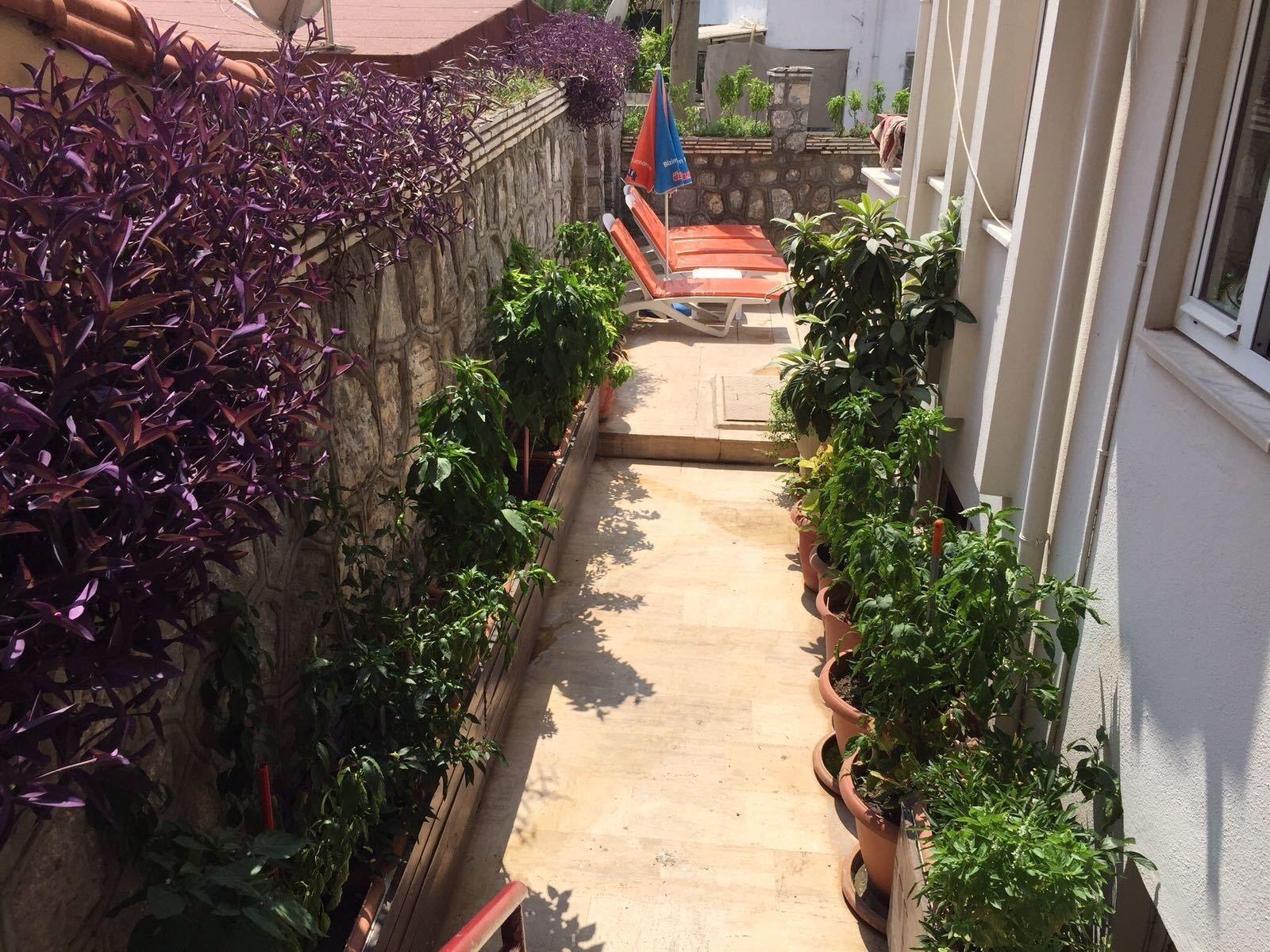 Villa Dream Apart Hotel 22/27