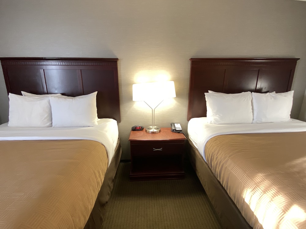 Clarion Inn and Suites Grand Rapids Airport 12/63