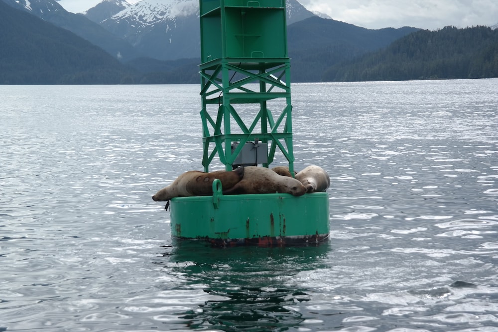 Sitka Hotel And Restaurant 44/45