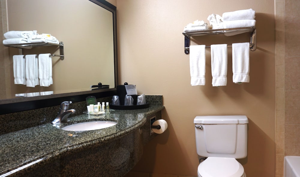 Holiday Inn Corpus Christi Arpt Conf Ctr, an IHG Hotel 65/79