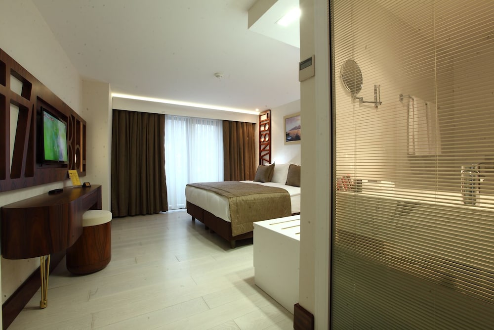 Victory Hotel & Spa Istanbul 13/38