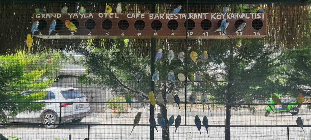 ALBERGO CESME 37/50