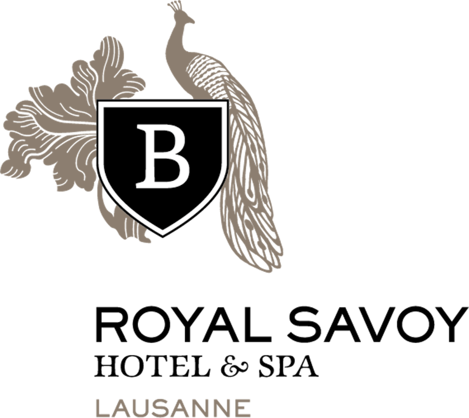 洛桑萨沃伊皇家酒店(Royal Savoy Hotel and Spa Lausanne) 图片3