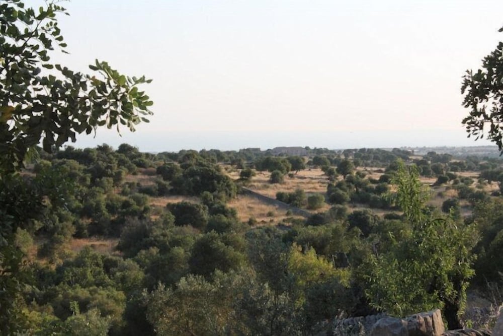 Tenuta Zannafondo 33/41