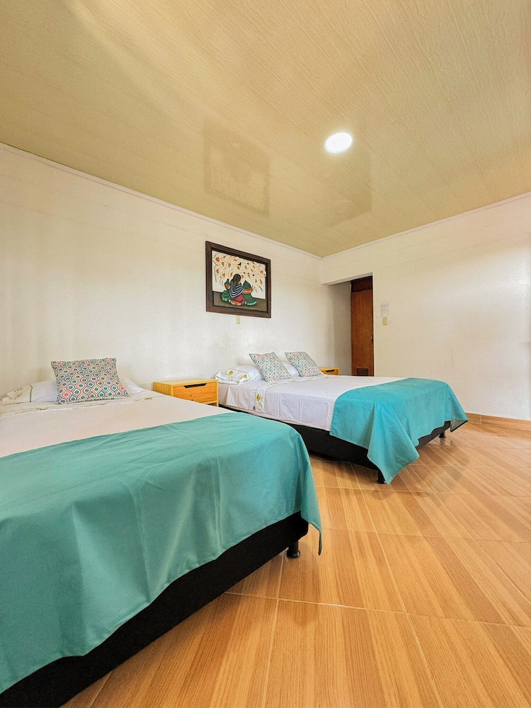 Eco Hotel Las Palmas 15/50
