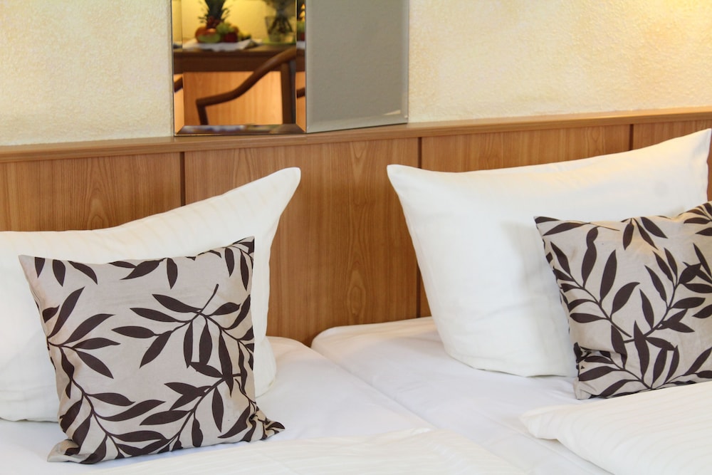 Hotel Weisser Schwan 10/34