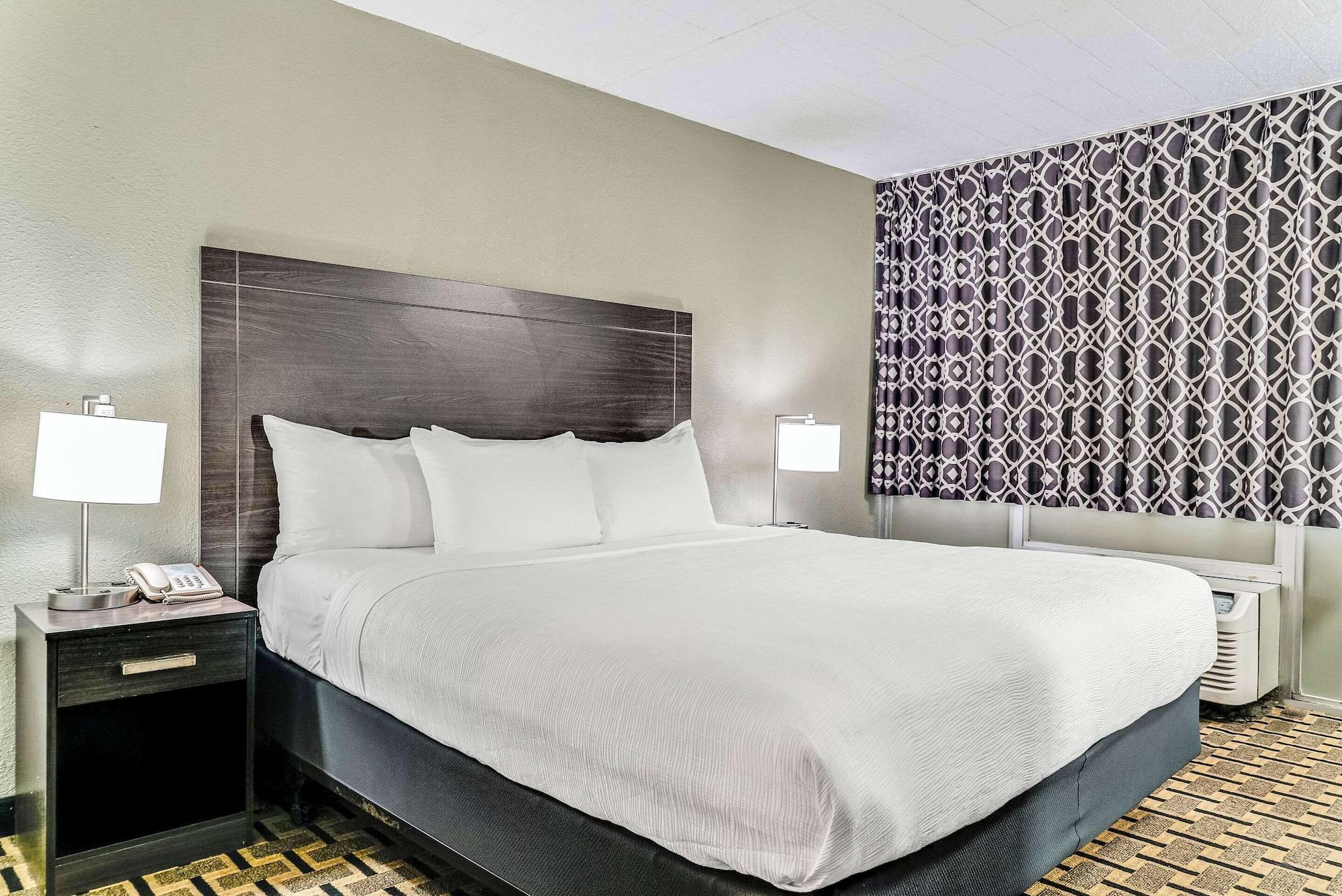 Suite, Multiple Beds