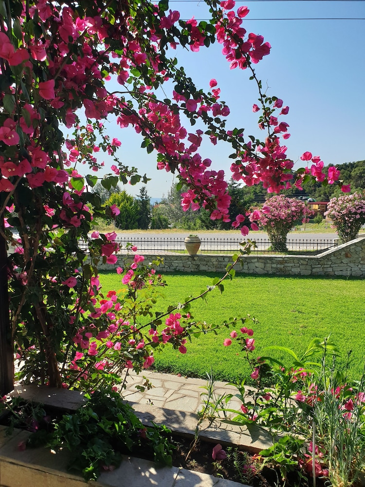 Ermioni Hotel 21/40