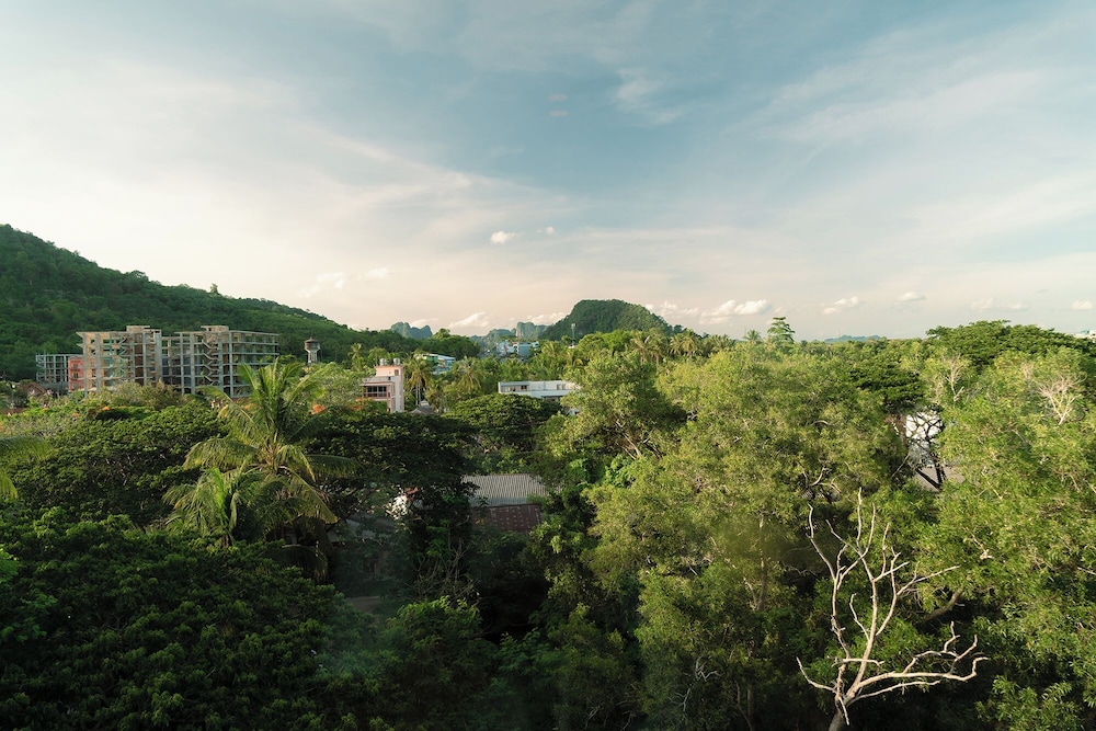 surroundings