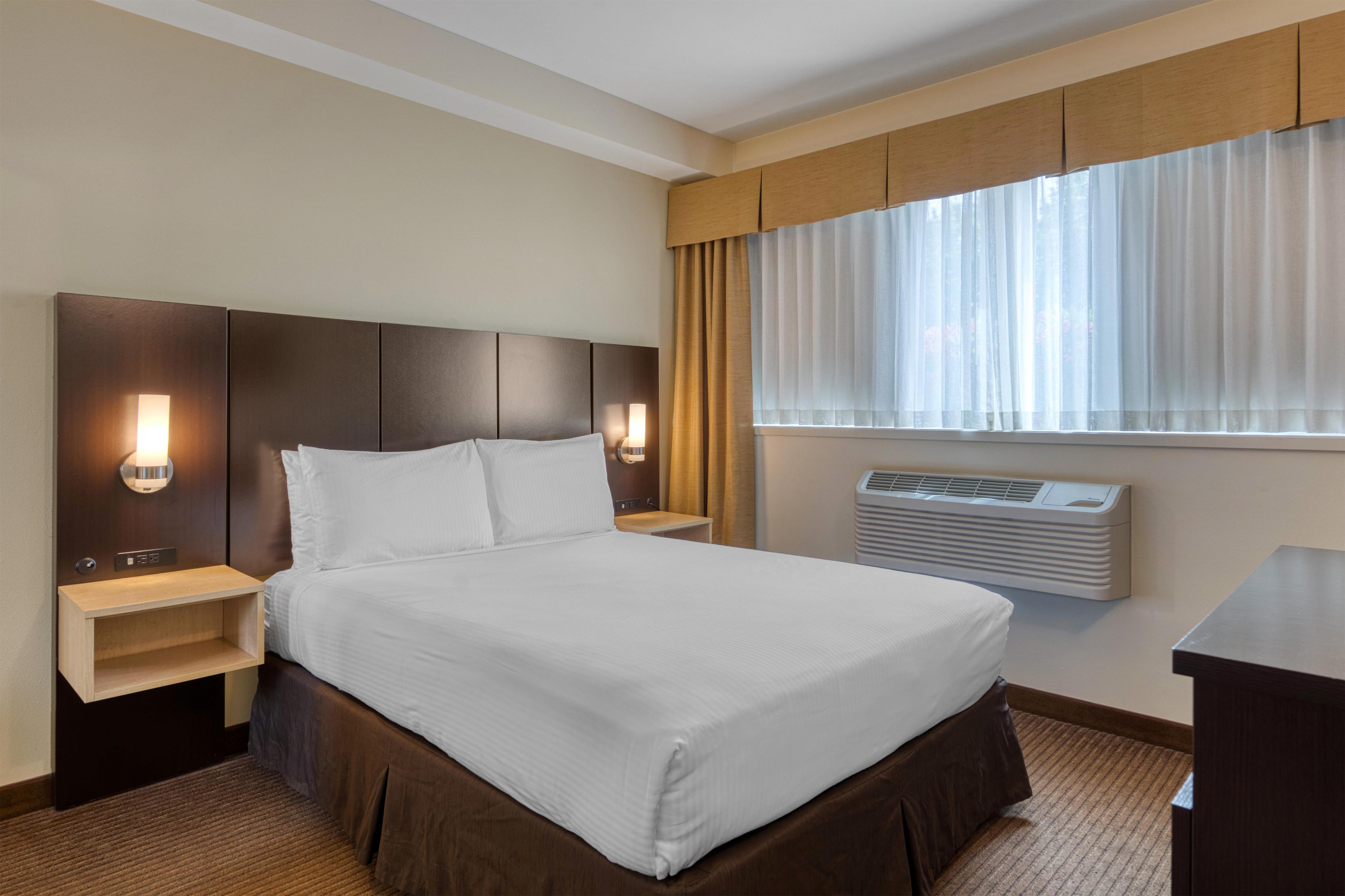 Family, Suite, 1 Queen and 1 Murphy Bed, Sofa