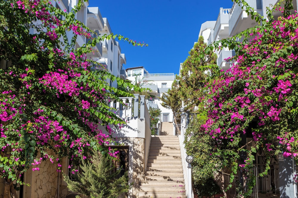Ladonia Hotels Gumbet Holiday 38/50