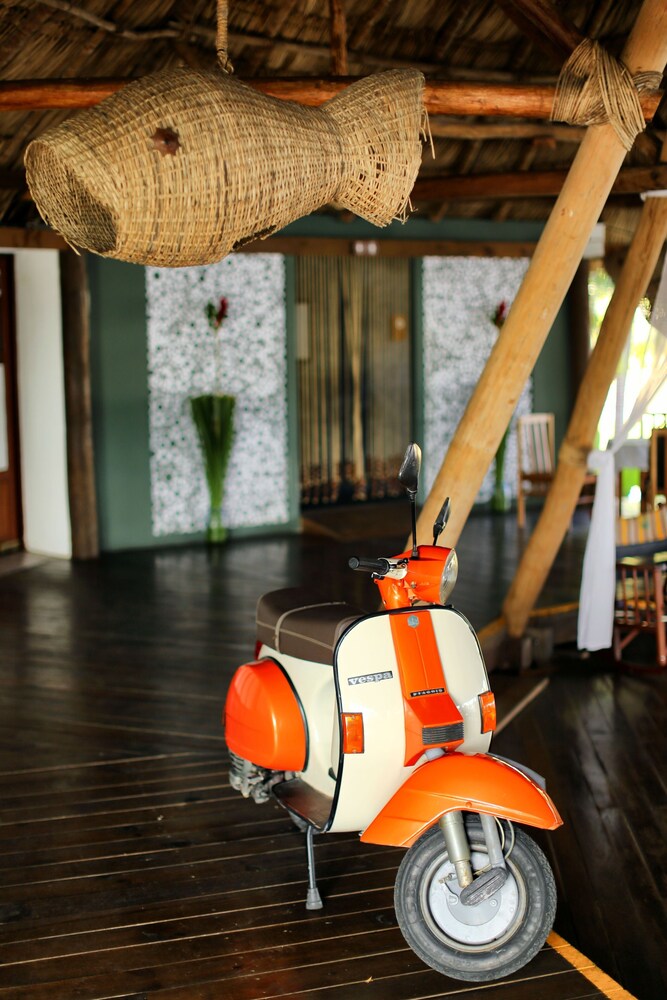 Hotel Maya Internacional 33/58