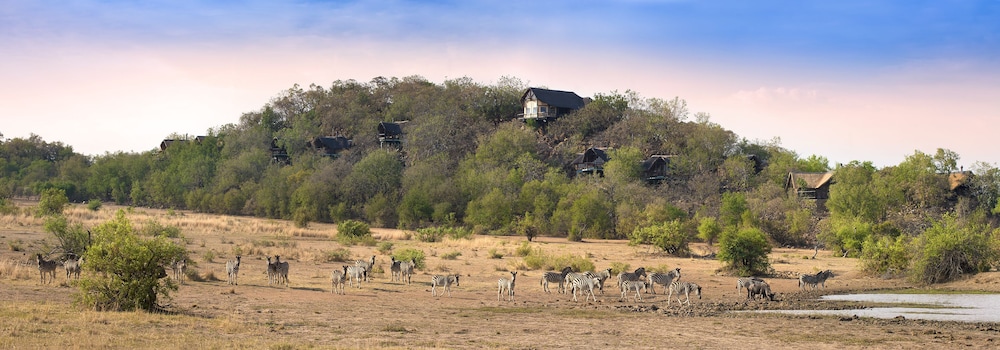 TSHUKUDU BUSH LODGE 46/49