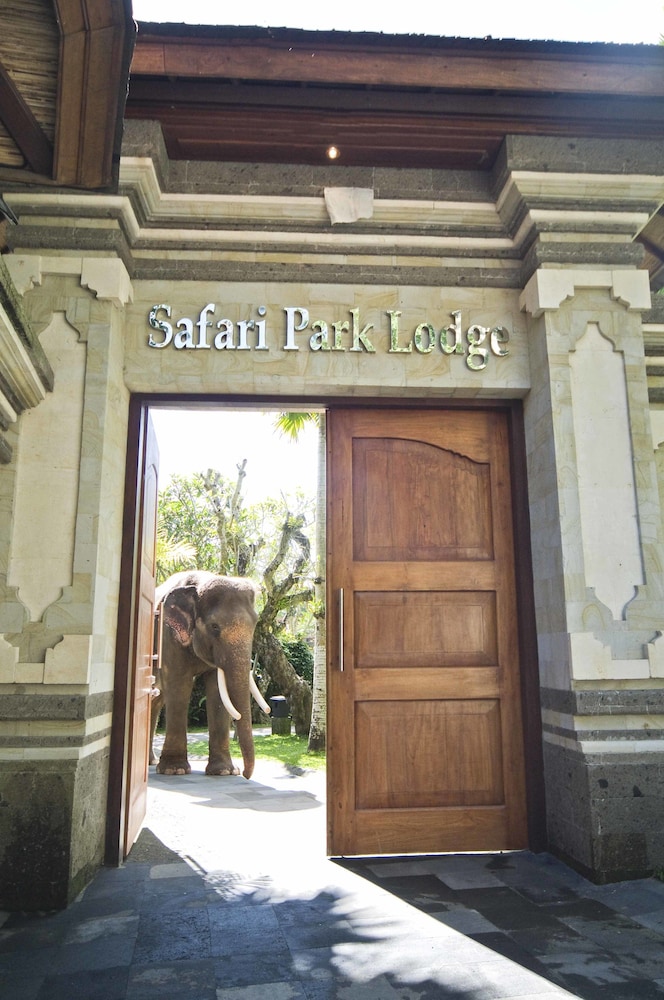Mason Elephant Park & Lodge 1/27