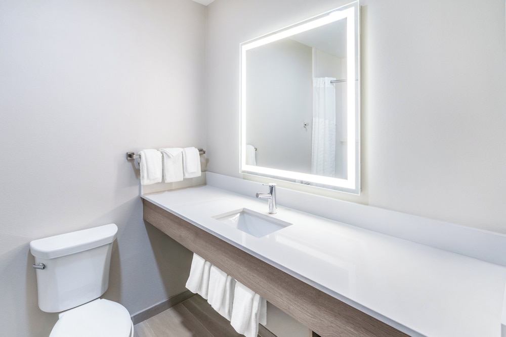 Holiday Inn Express Hotel And Suites Denver North Thornton 68/69
