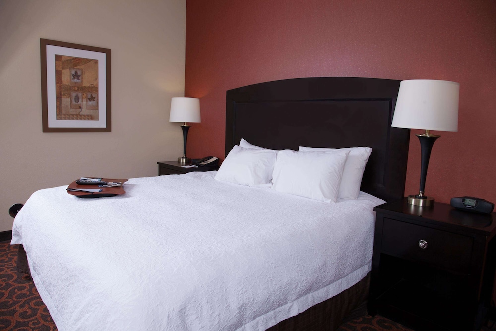 Hampton Inn And Suites Dickinson Nd 17/42