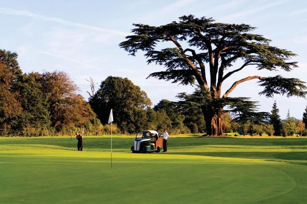 The Goodwood Park 26/50