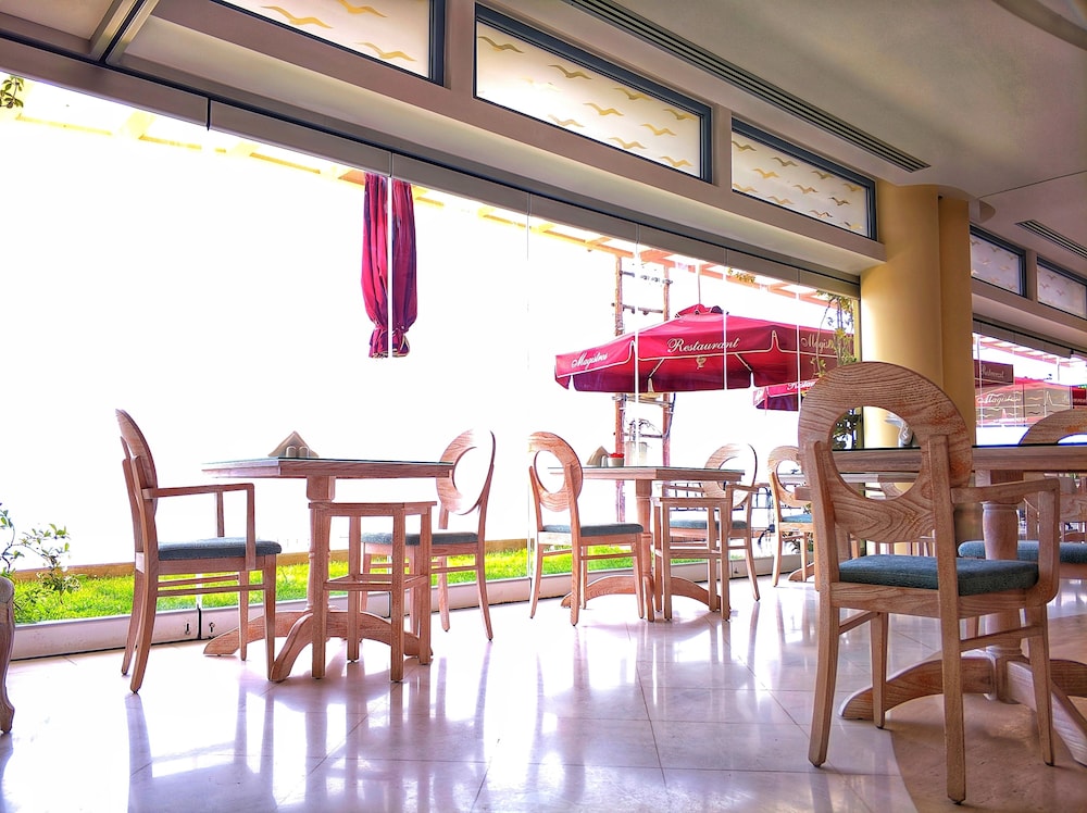 Aegean Blue Beach Hotel 18/29