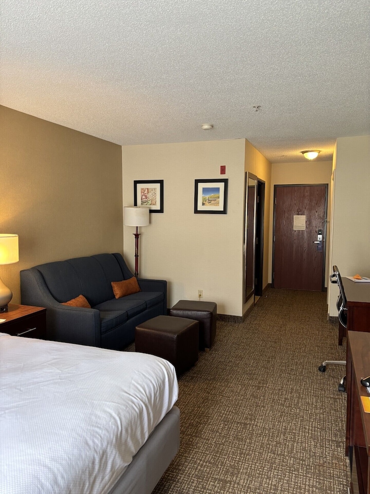 Efficiency, Suite, King Bed, Sofa
