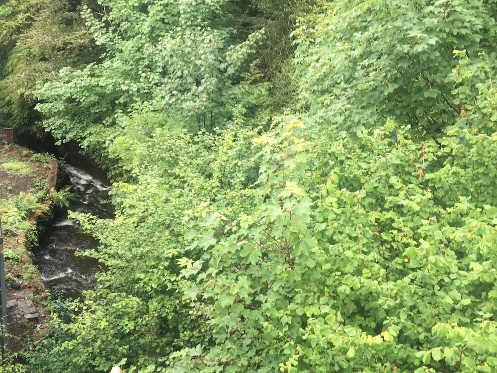 Glencree Lakes 43/50