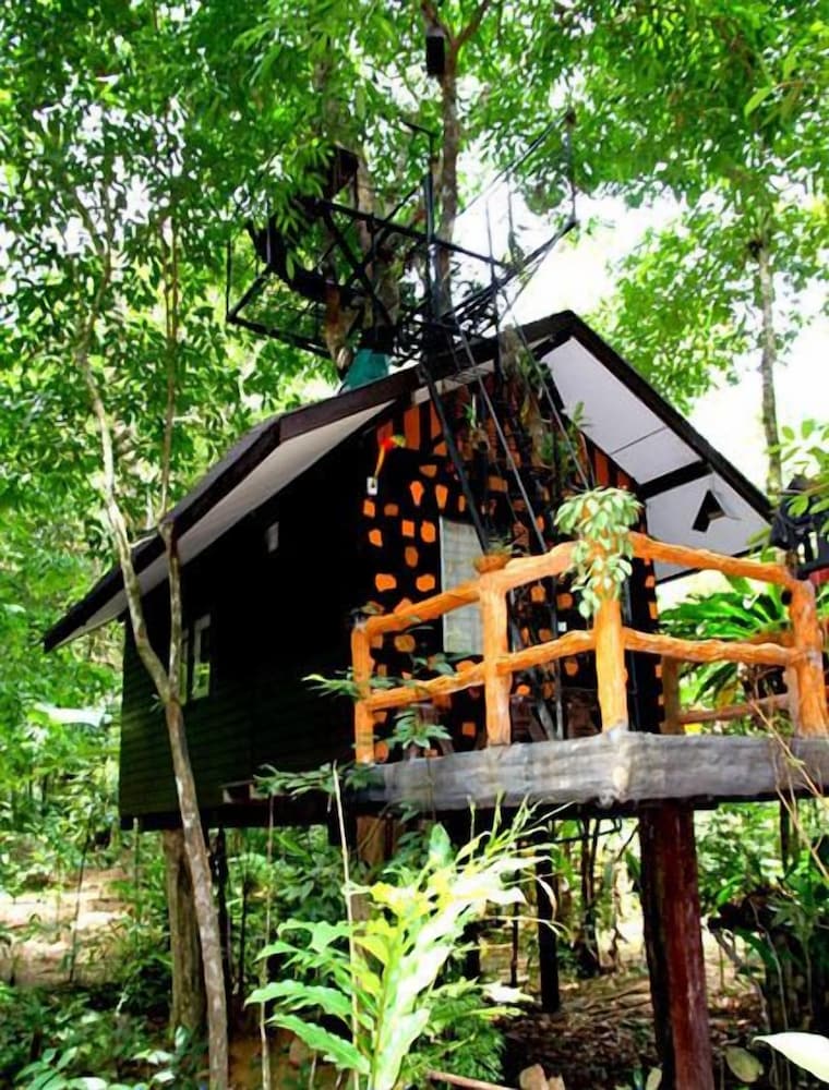 Khao Sok Tree House 5/50