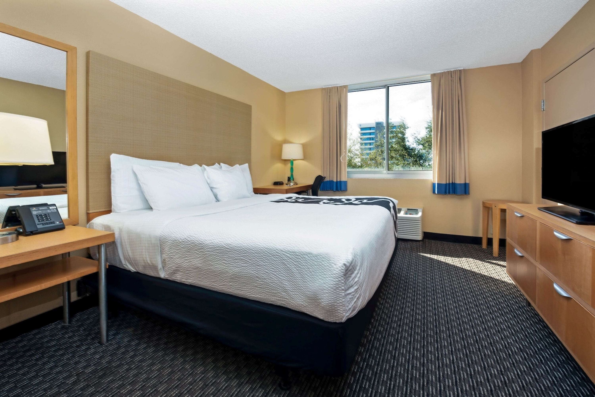 Deluxe, King Bed
