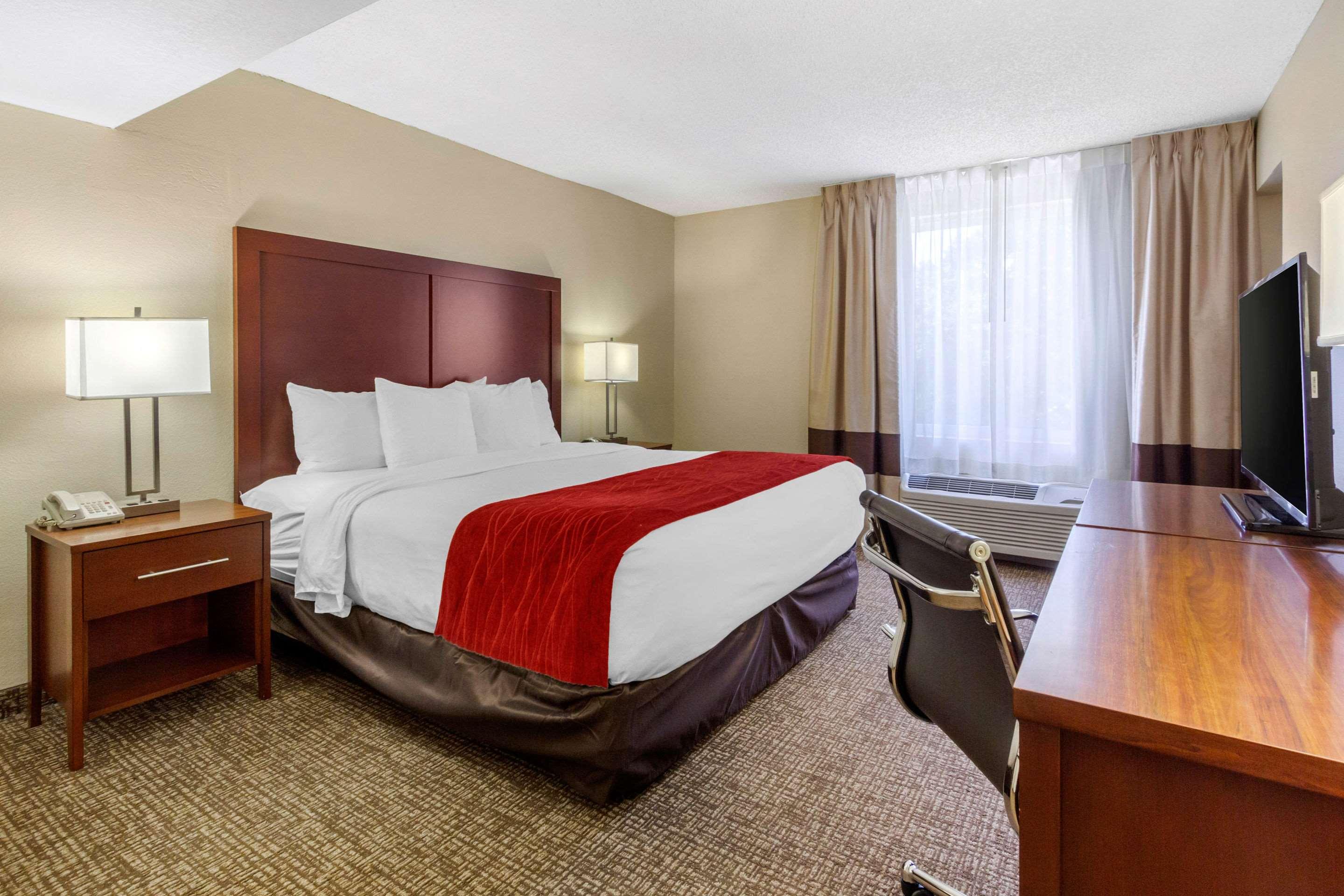 SUITE, KING BED