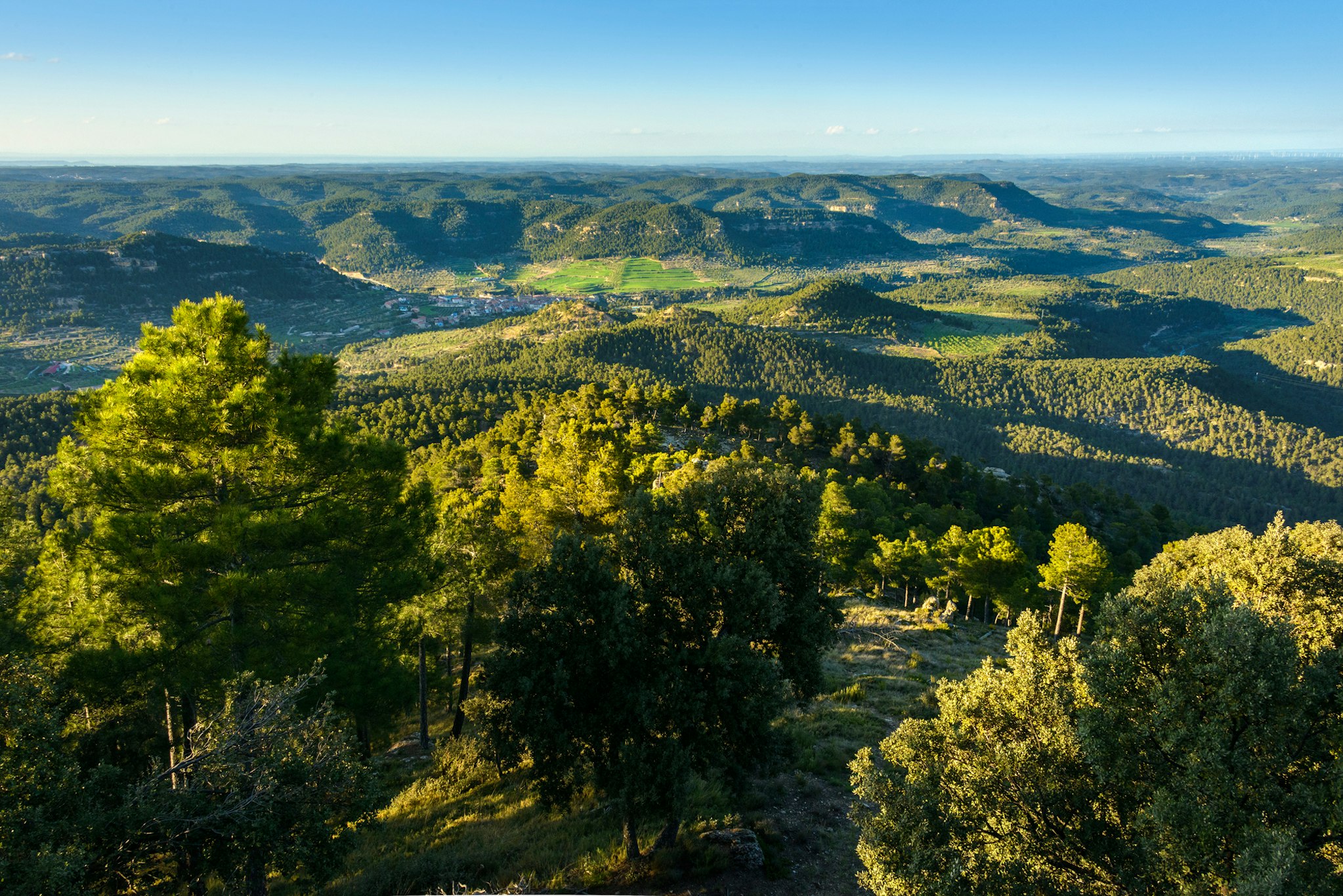 Torre del Marques 42/50