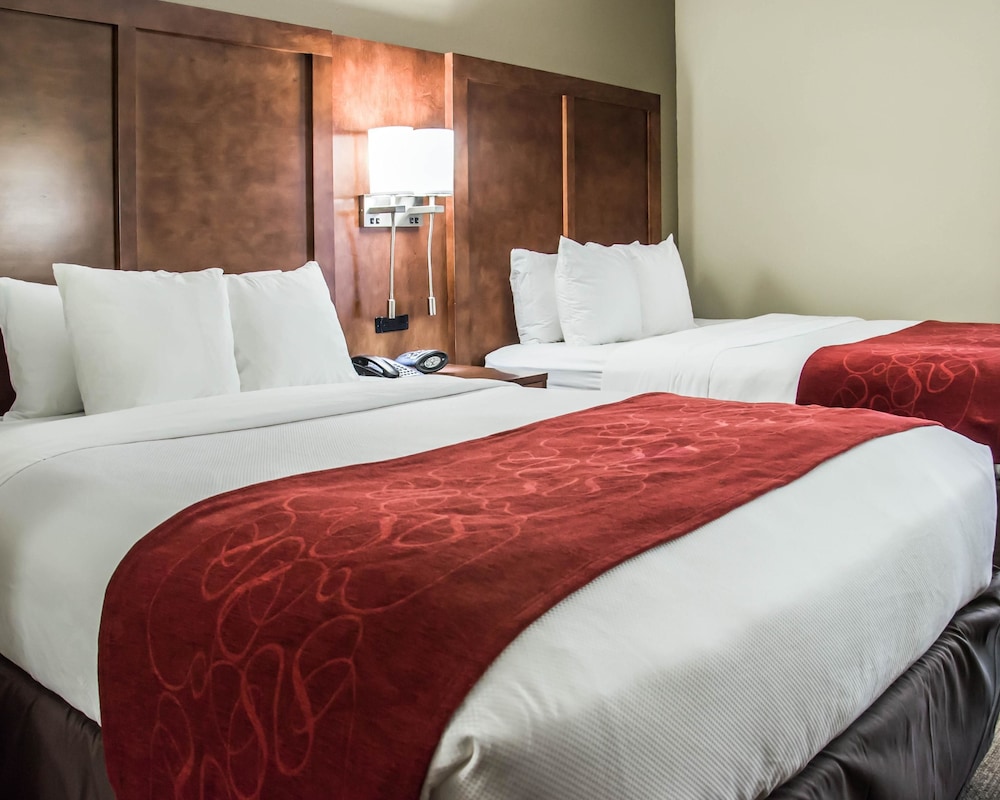 Comfort Suites University - Research Park 17/38