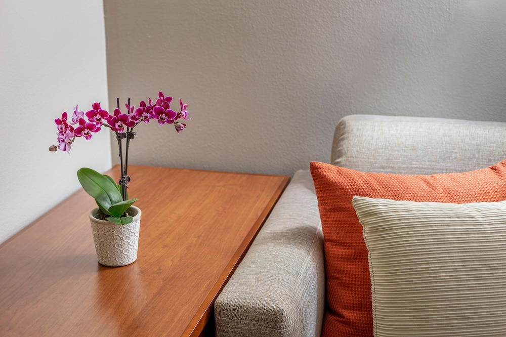 Hyatt Place Austin/Arboretum 37/69