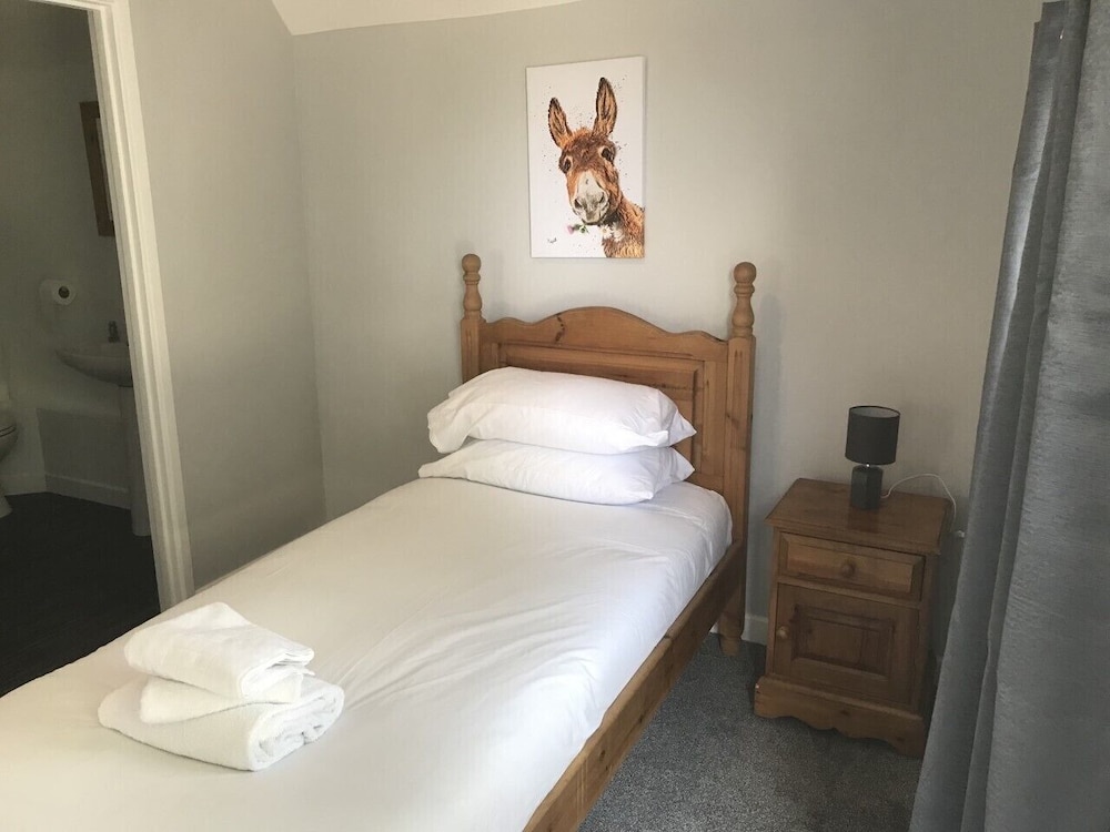 Room, Single, Single Bed