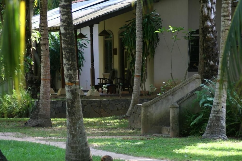Ging Oya Lodge 43/50