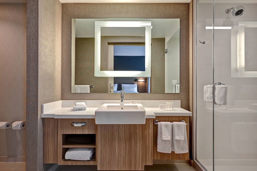 Springhill Suites by Marriott Albuquerque University Area 19/52