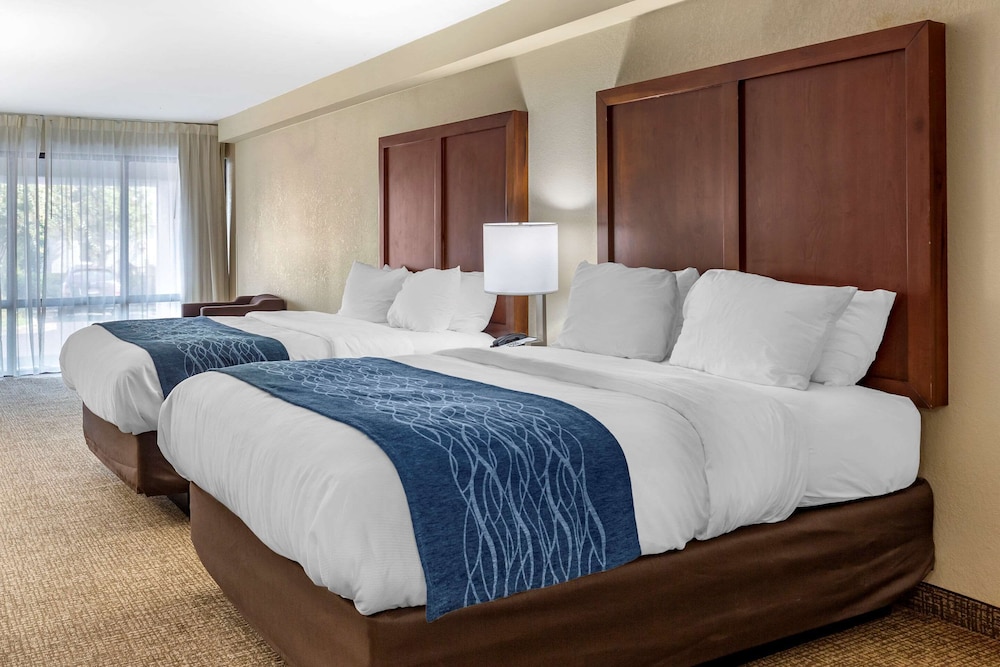 Efficiency, Suite, 2 Queen Beds