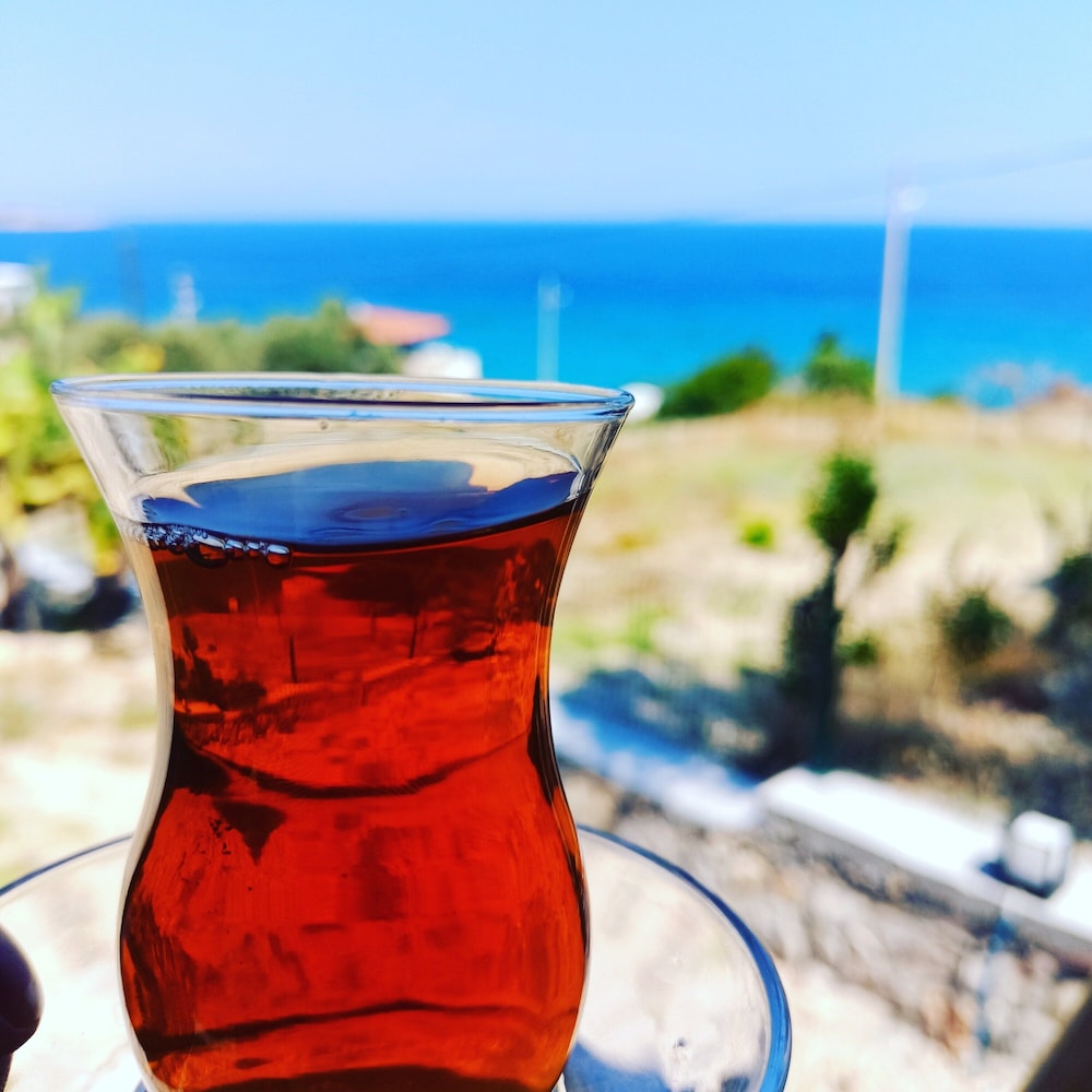 Hayela Bungolow Otel ve Restaurant Karaburun 5/34