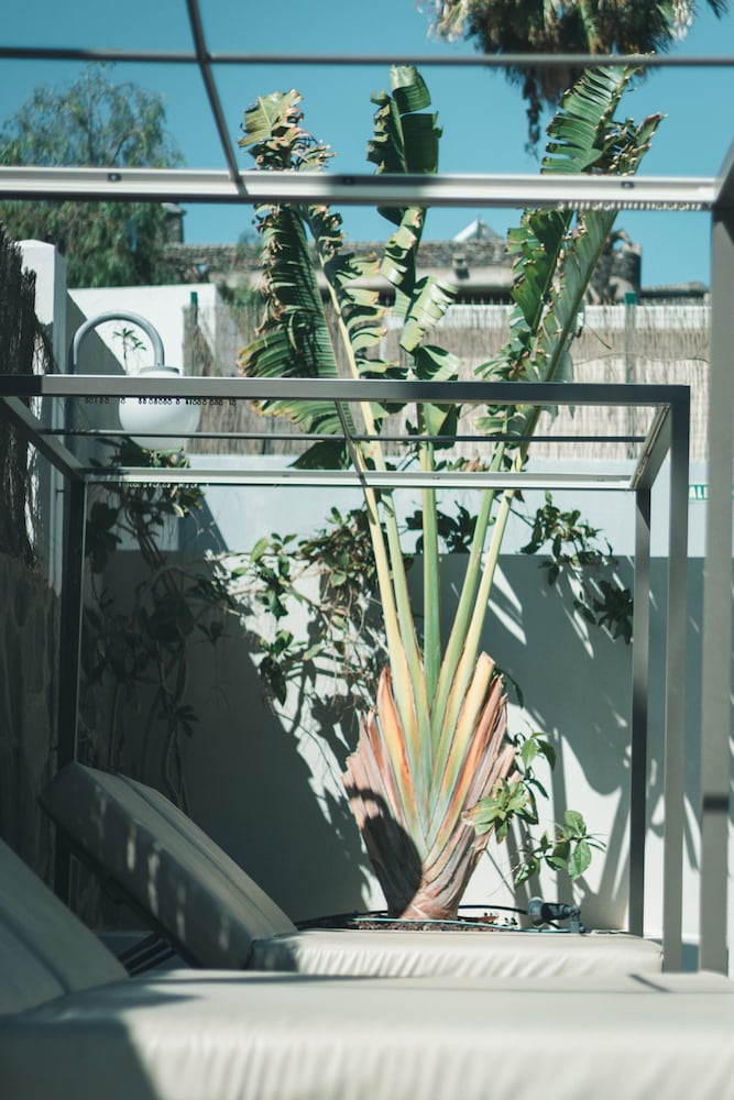 Apartamentos El Palmar 7/67