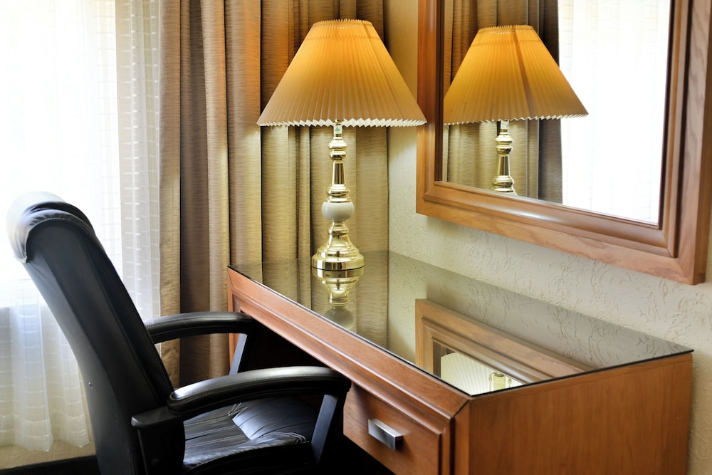 Sicomoro Hotel 23/50
